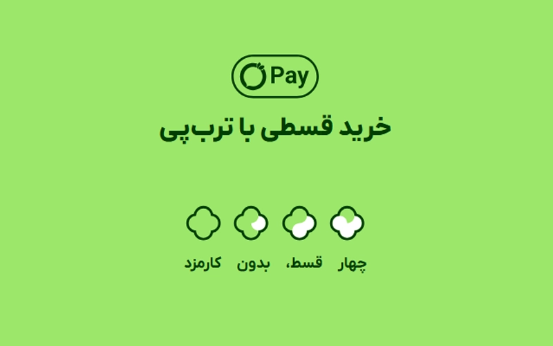 خرید اقساطی کفش از ترب پی